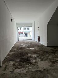 Lorong 39 Geylang (D14), Shop House #572099521